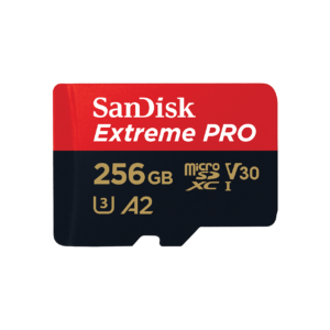 SanDisk 256GB Micro SD Card