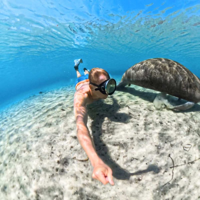 Insta360 X5 Invisible Dive Case